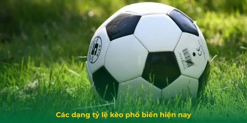 Tỷ Lệ Kèo Là Gì? Hướng Dẫn Đọc Tỷ Lệ Kèo Nhà Cái Chính Xác Các dạng tỷ lệ kèo phổ biến hiện nay