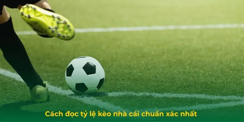Tỷ Lệ Kèo Là Gì? Hướng Dẫn Đọc Tỷ Lệ Kèo Nhà Cái Chính Xác Cách đọc tỷ lệ kèo nhà cái chuẩn xác nhất
