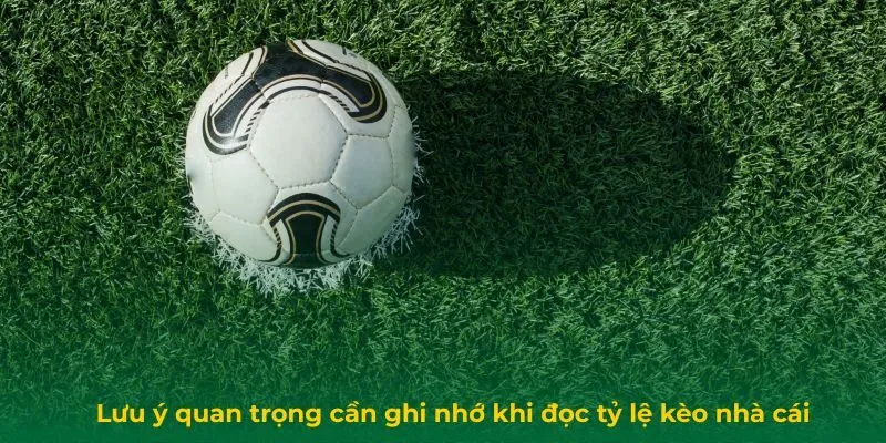 Tỷ Lệ Kèo Là Gì? Hướng Dẫn Đọc Tỷ Lệ Kèo Nhà Cái Chính Xác Lưu ý quan trọng cần ghi nhớ khi đọc tỷ lệ kèo nhà cái