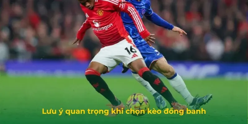 Kèo Đồng Banh Là Gì? Cách Chơi, Các Thuật Ngữ Và Lưu ý Lưu ý quan trọng khi chọn kèo đồng banh