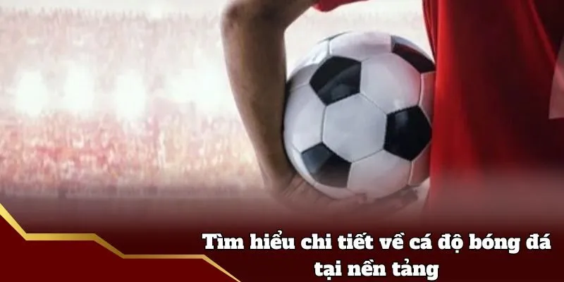 Cá Độ Bóng Đá Fun88 - Tìm Hiểu Chi Tiết Tại Nền Tảng Tìm hiểu chi tiết về cá độ bóng đá tại nền tảng